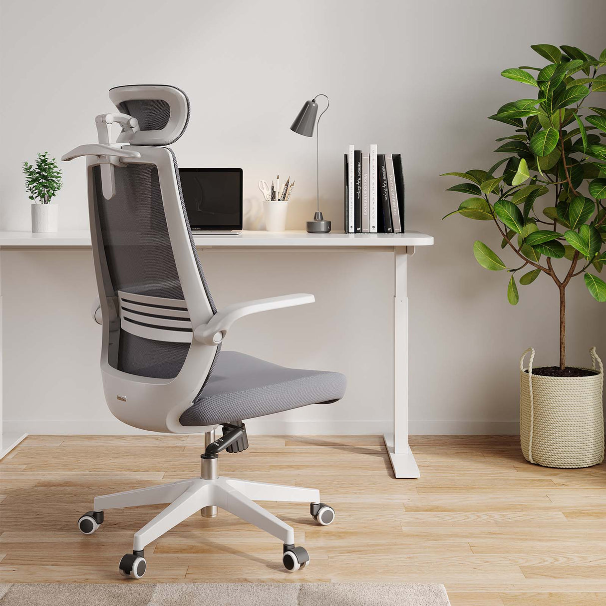 SIHOO M76A Ergonomic Office Chair with Lumbar Support