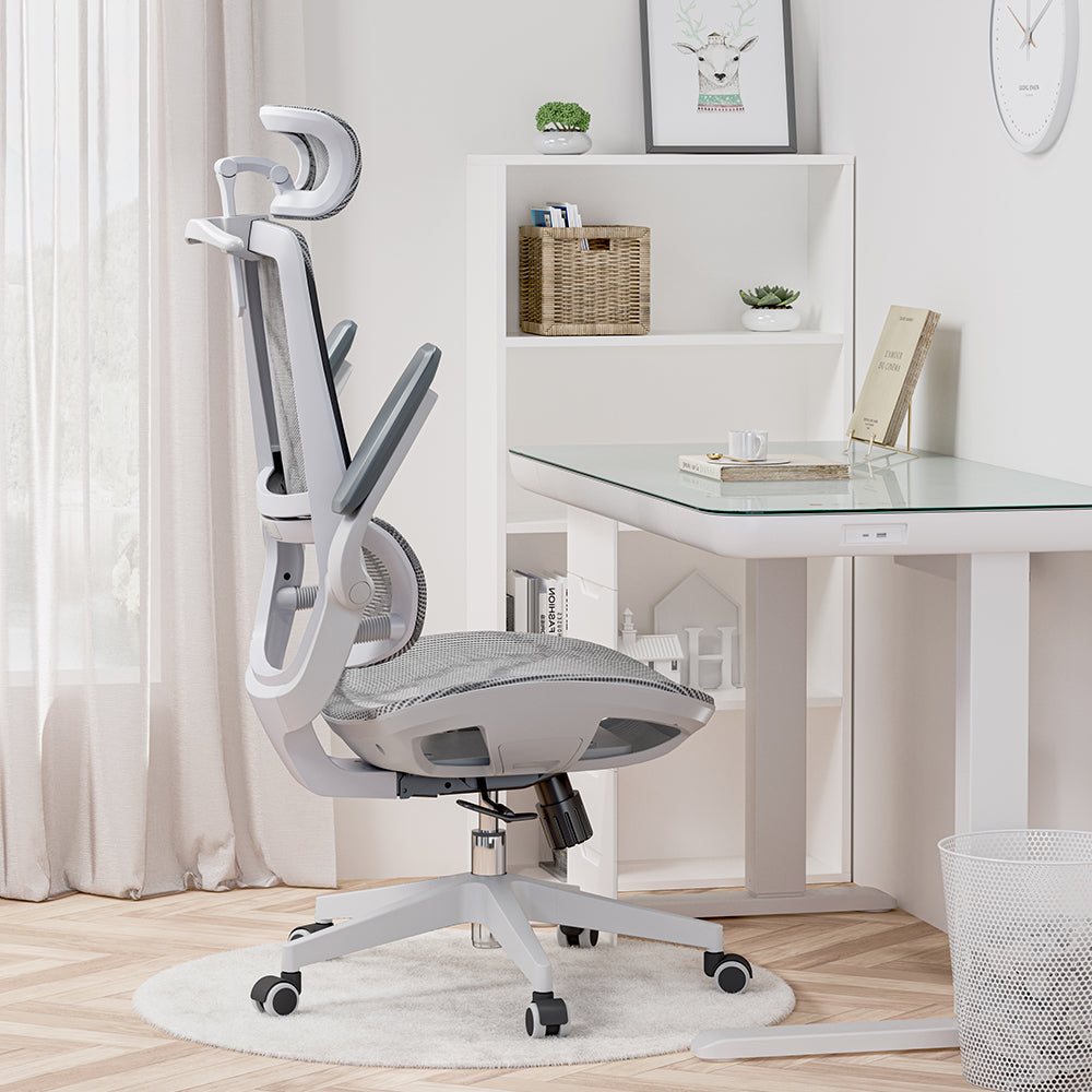 SIHOO M59AS Ergonomic Office Chair