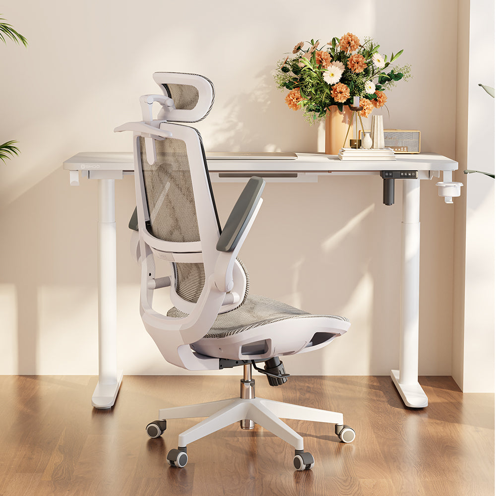 SIHOO M59AS Ergonomic Office Chair