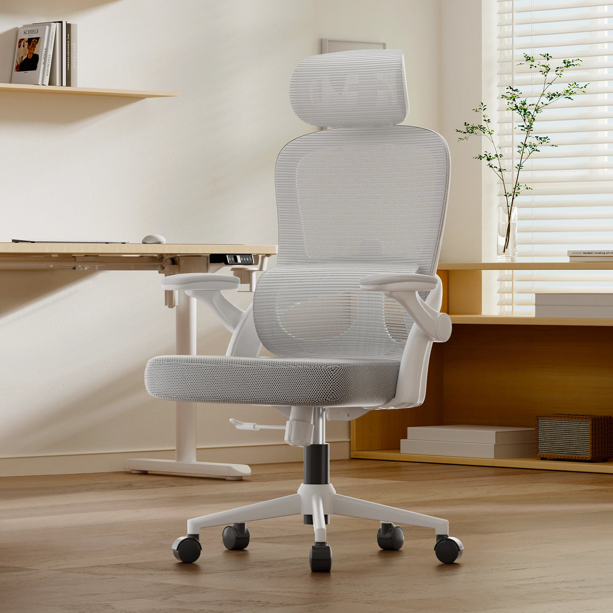 SIHOO M102C Ergonomic Office Chair