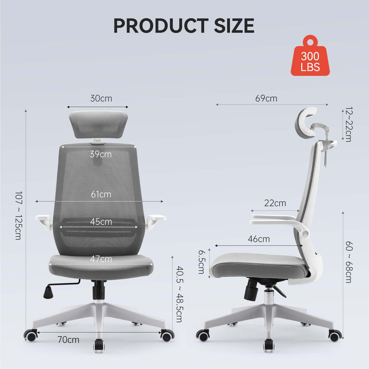 SIHOO M76A Ergonomic Office Chair with Lumbar Support