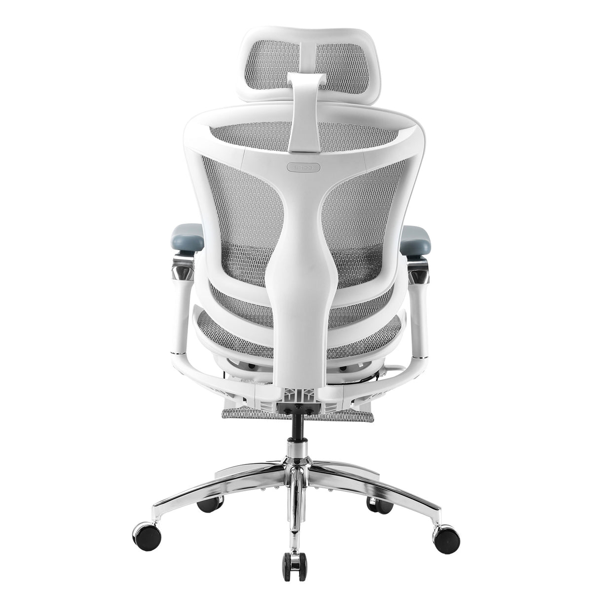 SIHOO Doro C300 Pro Ergonomic Chair with Lumbar Support & Recline