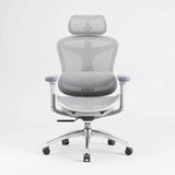 SIHOO Doro C300 Ergonomic Office Chair