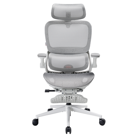 Sihoo B100 Pro Classic Office Chair