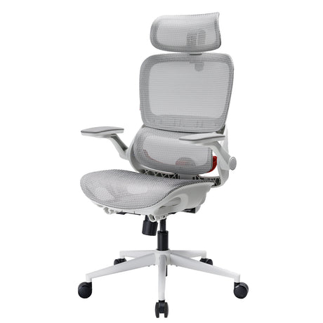 Sihoo B100 Pro Classic Office Chair
