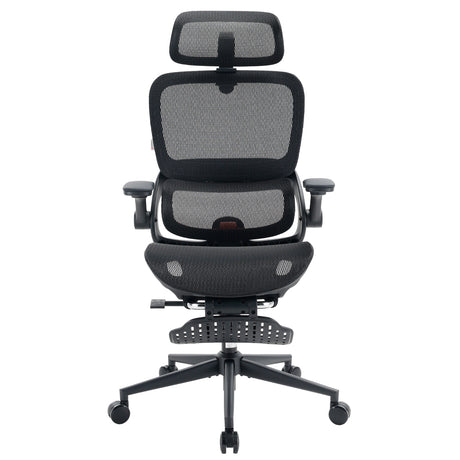 Sihoo B100 Pro Classic Office Chair