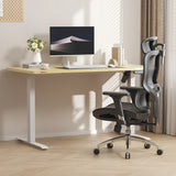 SIHOO M56B  Ergonomic Office Chair