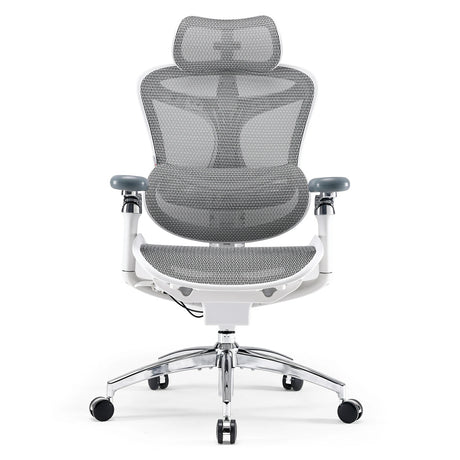 SIHOO Doro C300 Ergonomic Office Chair