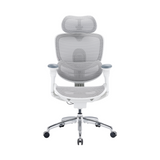Doro C300 Pro V2 Full-Body Adaptive Ergonomic Chair