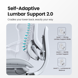 Doro C300 Pro V2 Full-Body Adaptive Ergonomic Chair