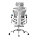 SIHOO Doro C300 Pro Ergonomic Office Chair