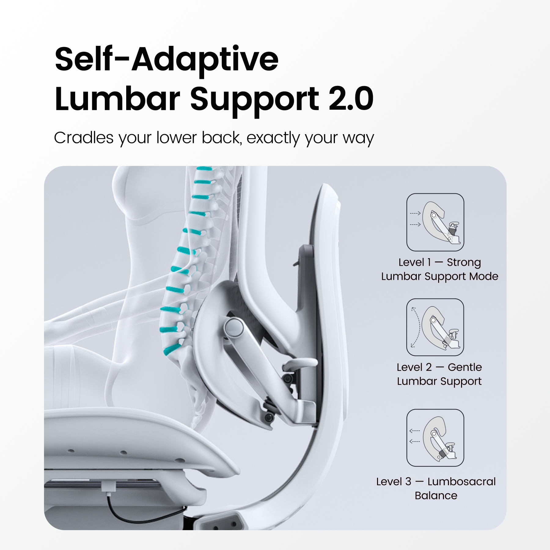 Doro C300 Pro V2 Full-Body Adaptive Ergonomic Chair