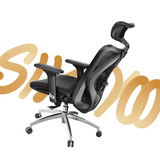 SIHOO M57 Ergonomic Office Chair
