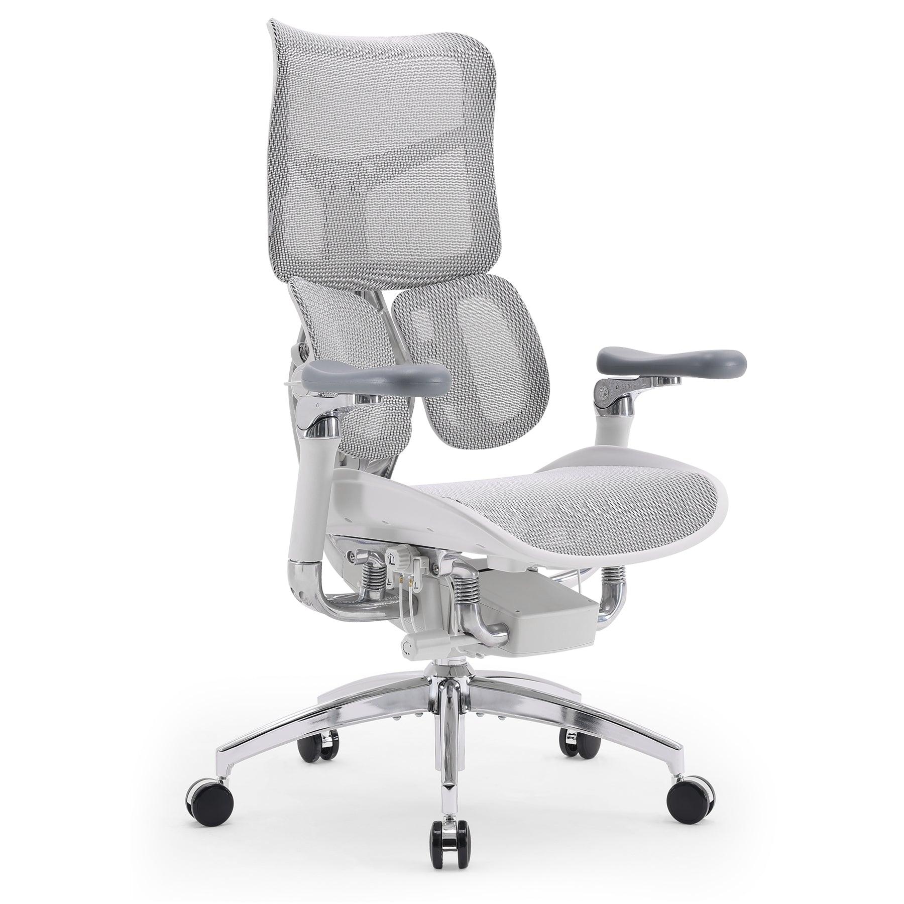SIHOO S300 Office Chair with Ergonomic Lumbar Support for Comfort