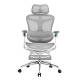 SIHOO Doro C300 Pro Ergonomic Office Chair